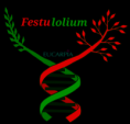 /album/gallery/festulolium-logo-maly-png1/